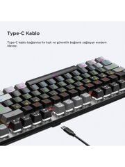 Lecoo GK304 Switch Makro Tuşlu RGB Aydınlatmalı Gaming Mekanik USB Kablolu Türkçe Q Klavye